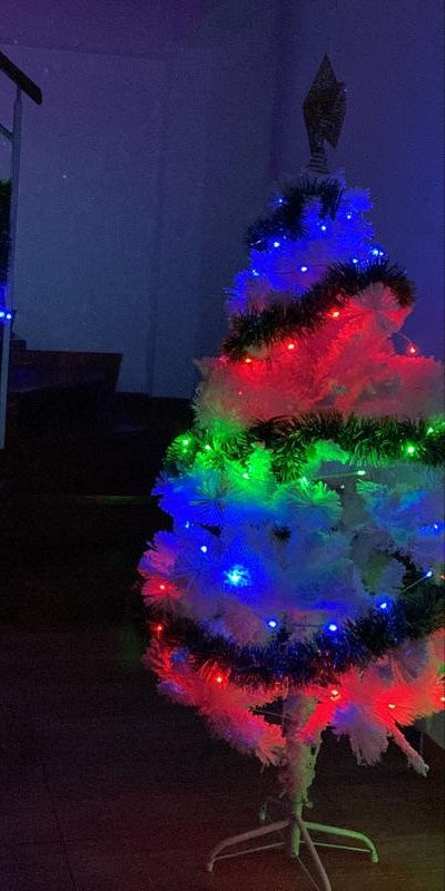 LUCES DE NAVIDAD INTELIGENTES - 10 METROS